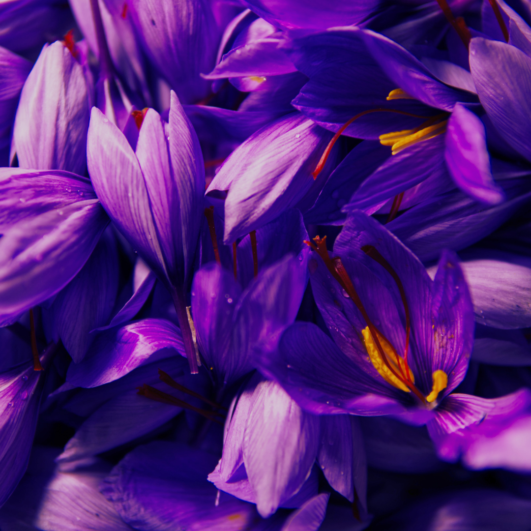 Sweetness & Saffron