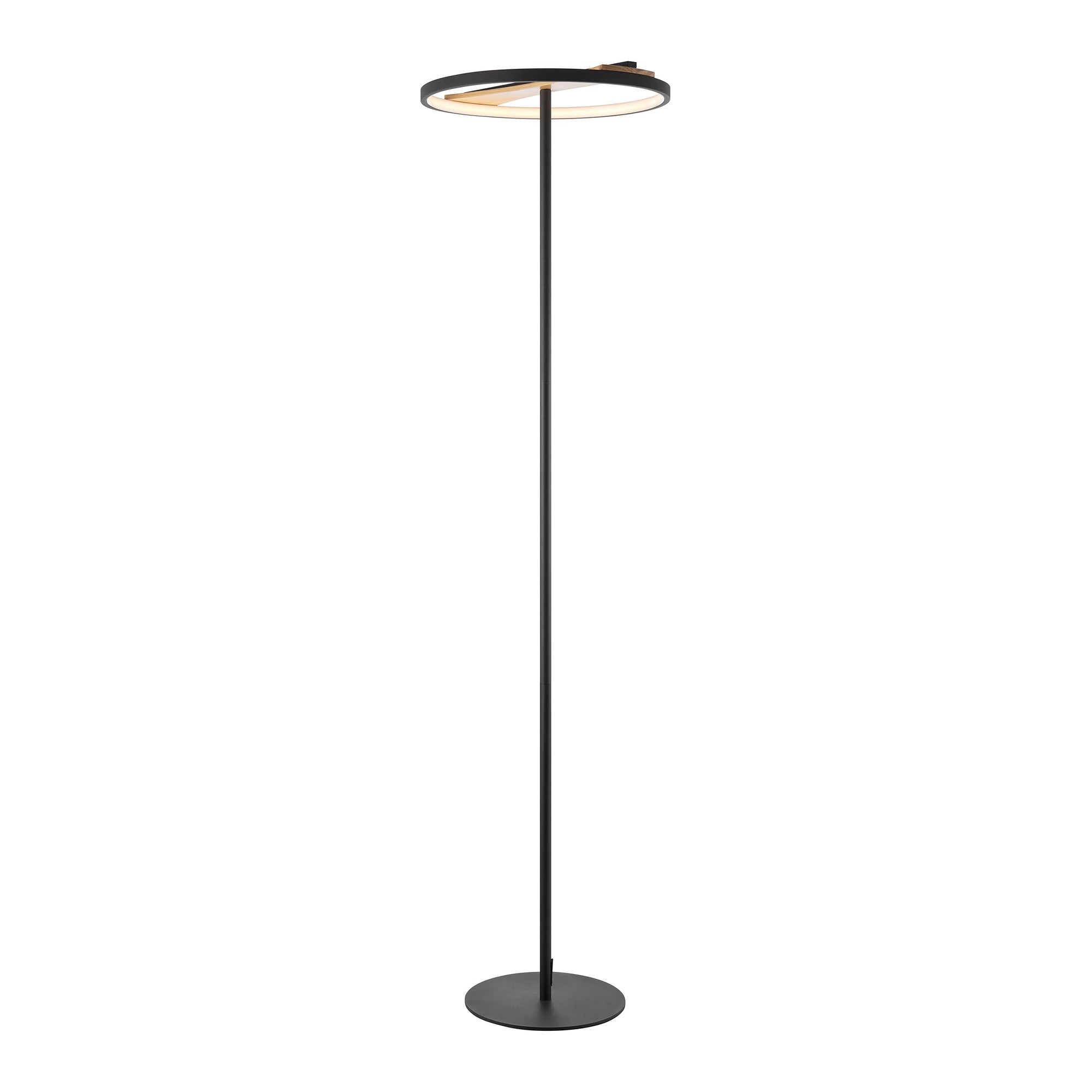 Floor Lamp – Satin Black Iron & Pine Wood with Tunable LED