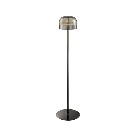 Iron and Smoky Glass Floor Lamp // Black