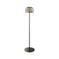Iron and Smoky Glass Floor Lamp // Black