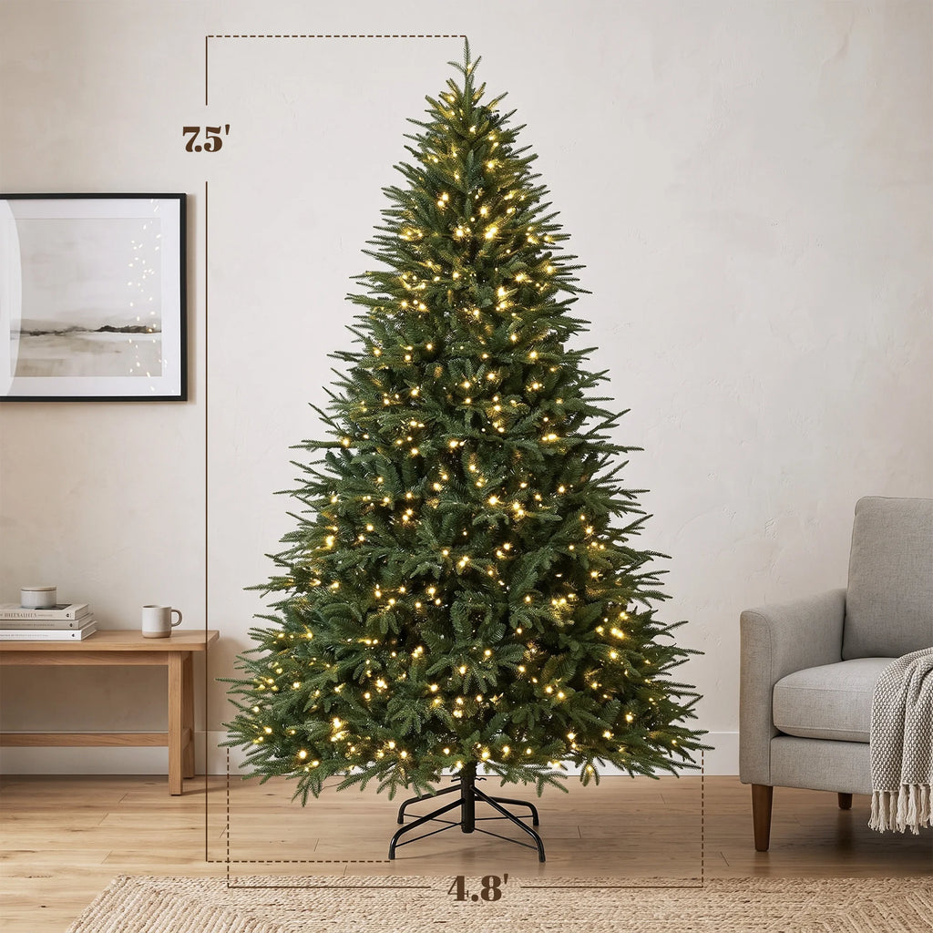 Evergrand dimension image showing 7.5-foot height and 4.8-foot width