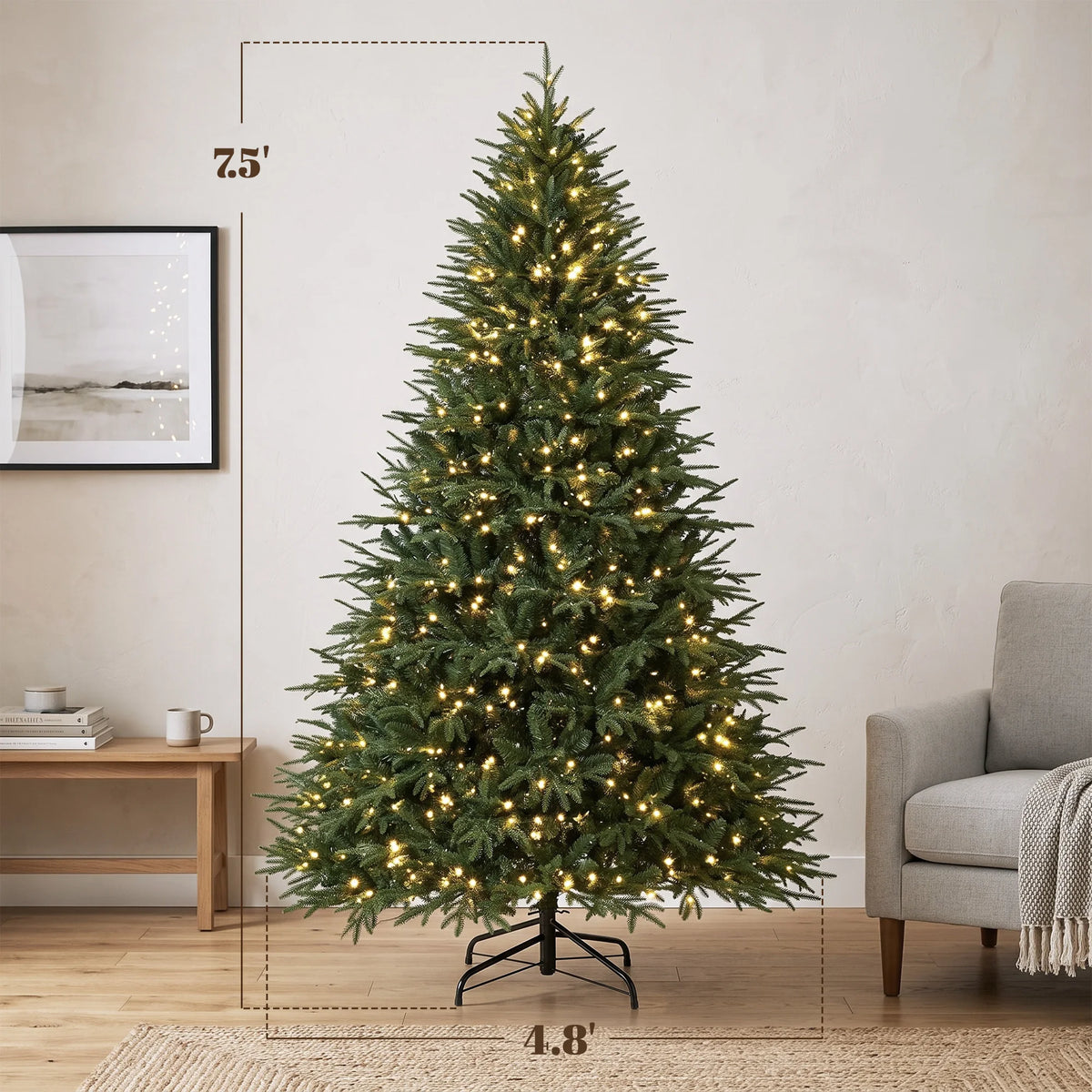 Evergrand dimension image showing 7.5-foot height and 4.8-foot width