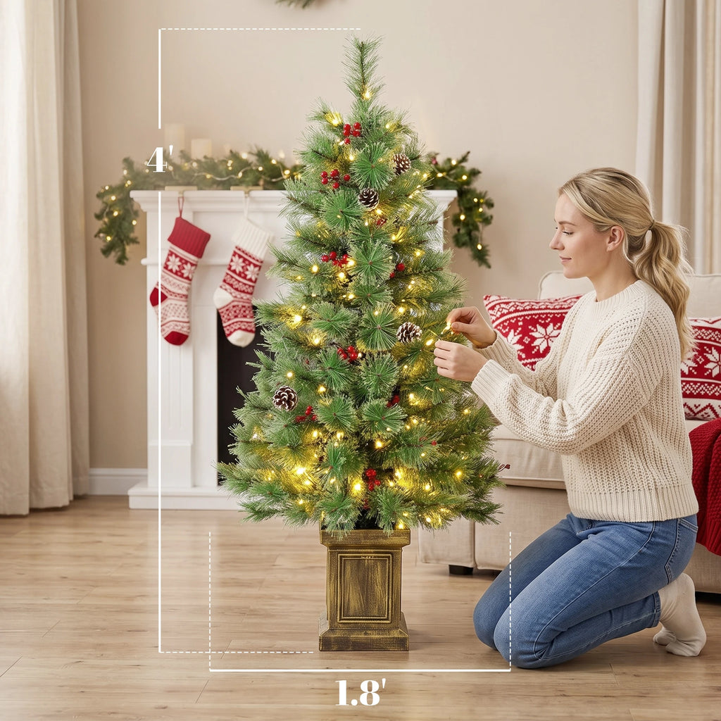 Berryglow dimension image showing each tree at 4 feet high and 1.8 feet wide