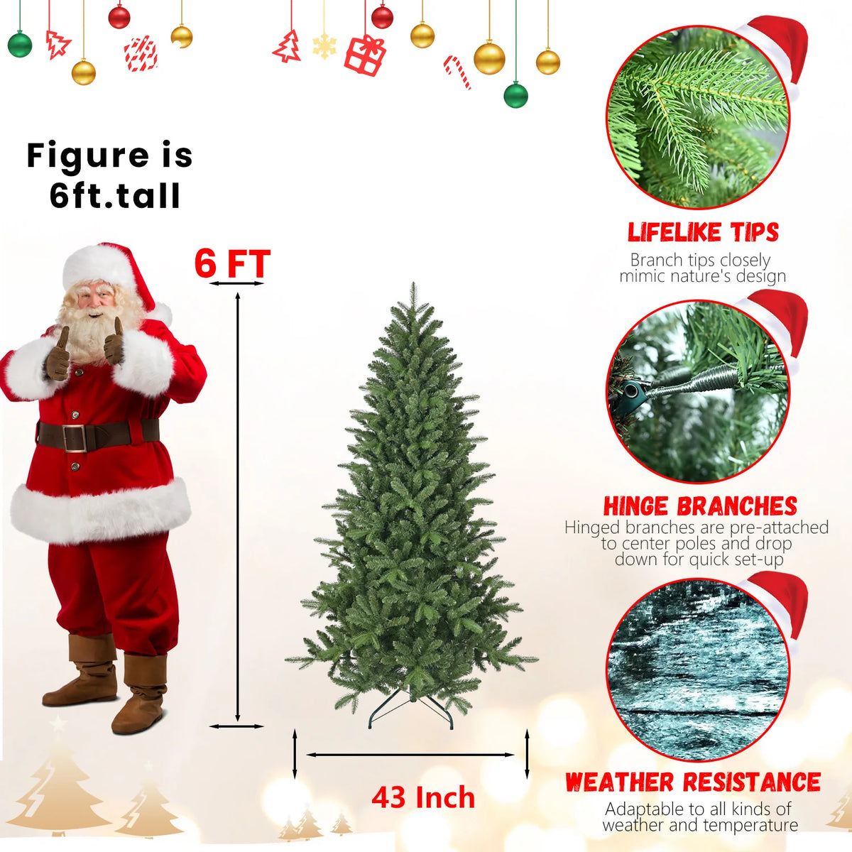 Greenhaven tree size diagram showing 6-foot height and 43-inch spread