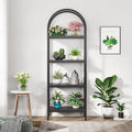 Everly Arch Bookcase