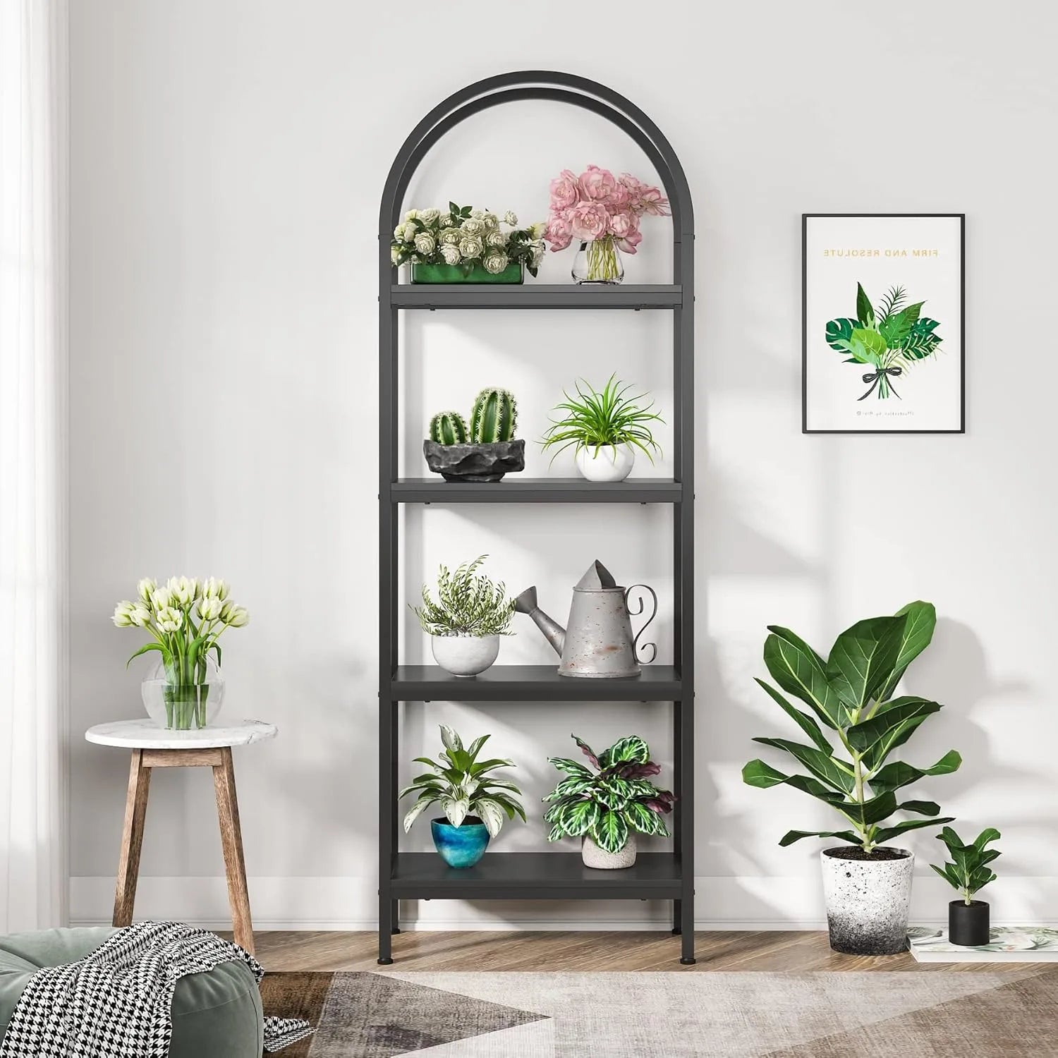 Everly Arch Bookcase