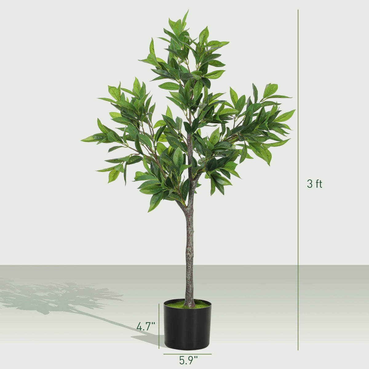 Springwick size diagram showing 36-inch overall height and a 5.9 by 4.7-inch pot