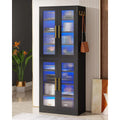 Black tall cabinet with glass doors in a room setting