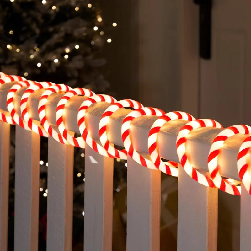 Holiday Decor & Lights