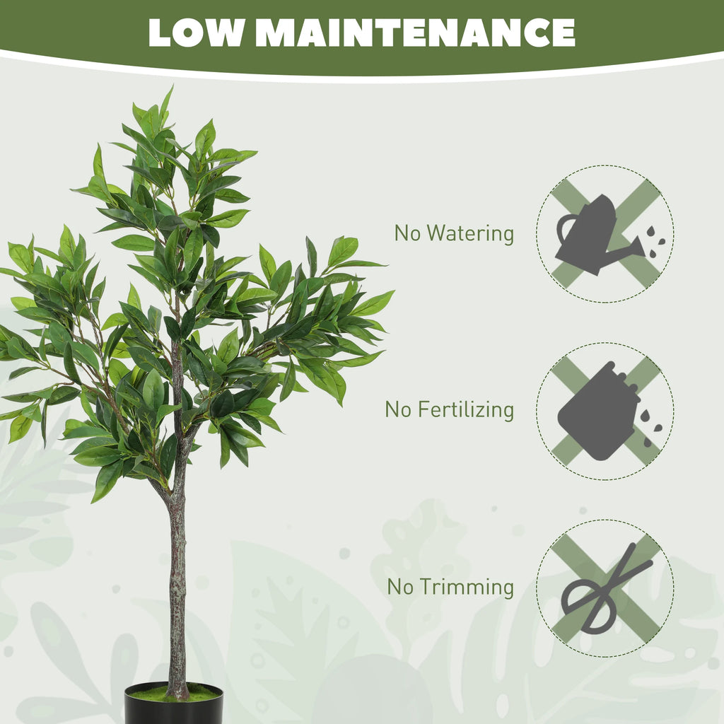 Springwick care graphic showing no watering, fertilizing or trimming required