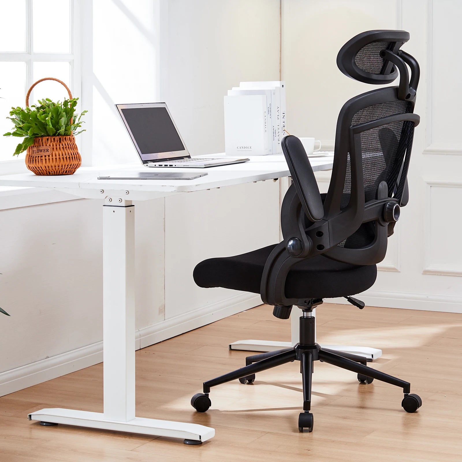 Linden Ergonomic Mesh Office Chair