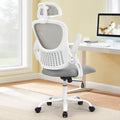 Merriton Ergonomic Mesh Office Chair
