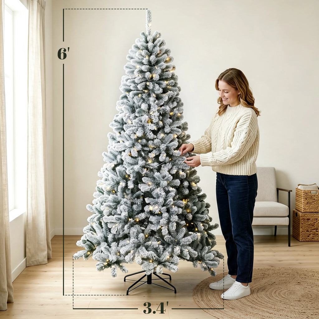 Northpine dimension image showing 6-foot height and 3.4-foot width