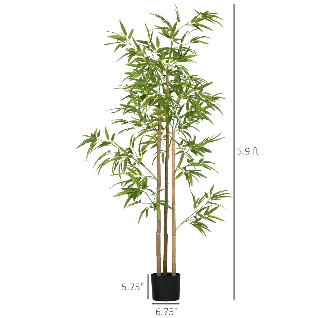Arusha dimension graphic showing 5.9-foot overall height and 6.75 by 5.75 inch nursery-pot references