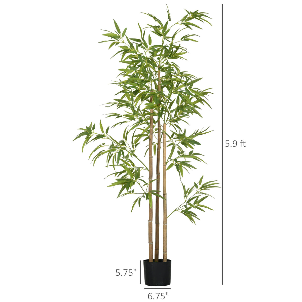 Arusha dimension graphic showing 5.9-foot overall height and 6.75 by 5.75 inch nursery-pot references
