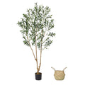 Pearlecho 6-Foot Artificial Olive Tree with Basket