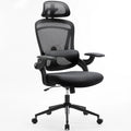 Linden Ergonomic Mesh Office Chair