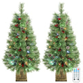 Berryglow set of two pre-lit Christmas trees with berries, pinecones, and decorative pot bases