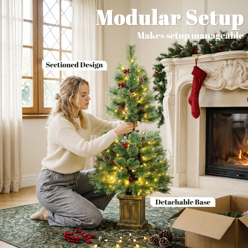 Berryglow modular setup graphic showing sectioned design and detachable base