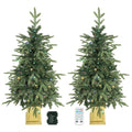Aspenglow set of two pre-lit entryway Christmas trees in gold-tone pots