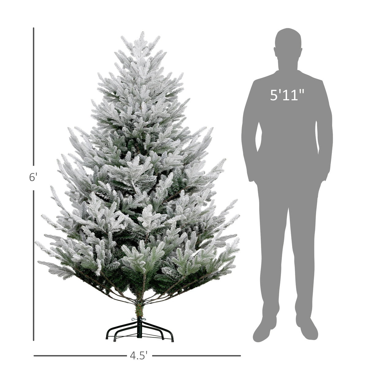 Pinehaven tree dimensions showing 6 ft height and 4.5 ft spread