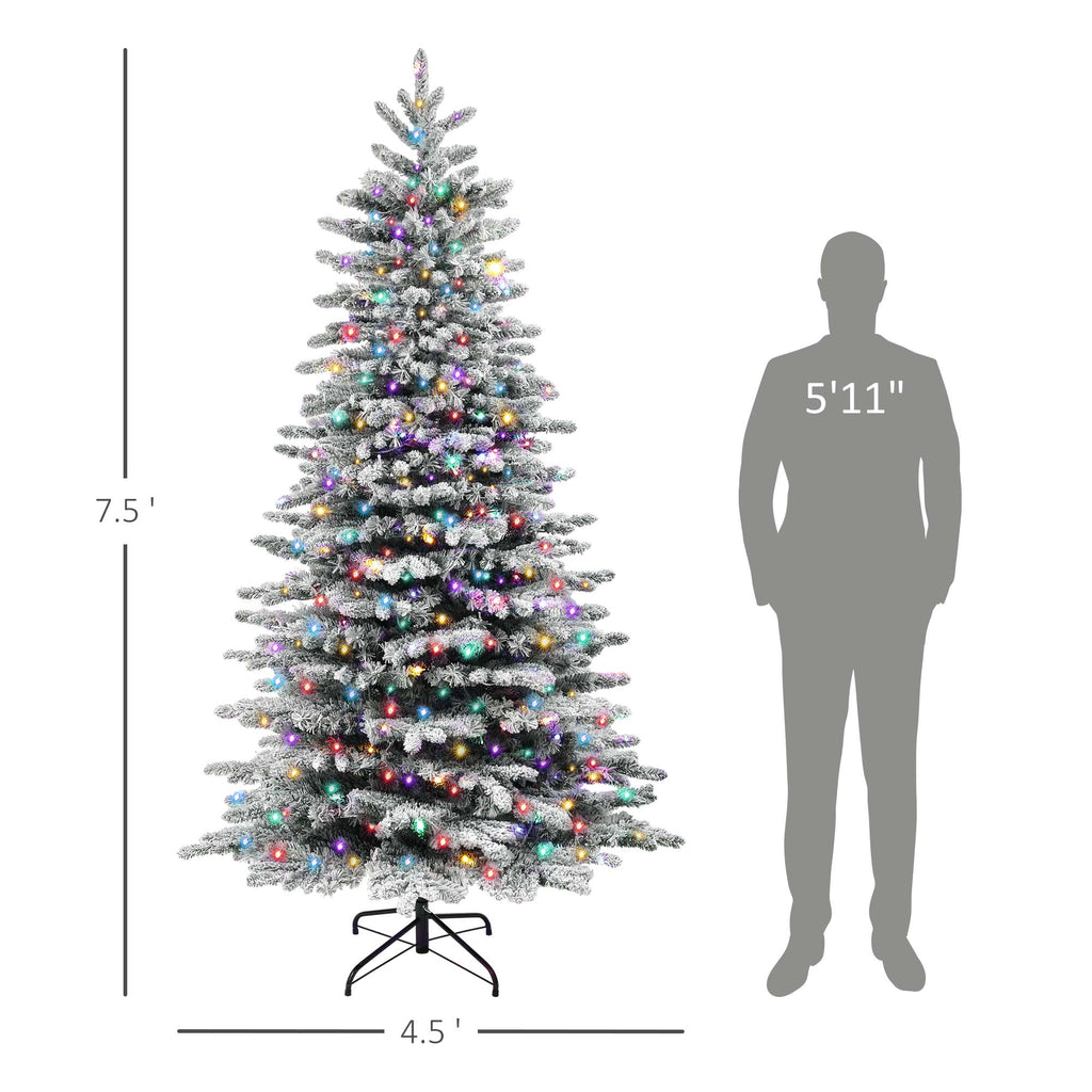 Mountainglow 7.5-foot tree and 4.5-foot foliage width comparison